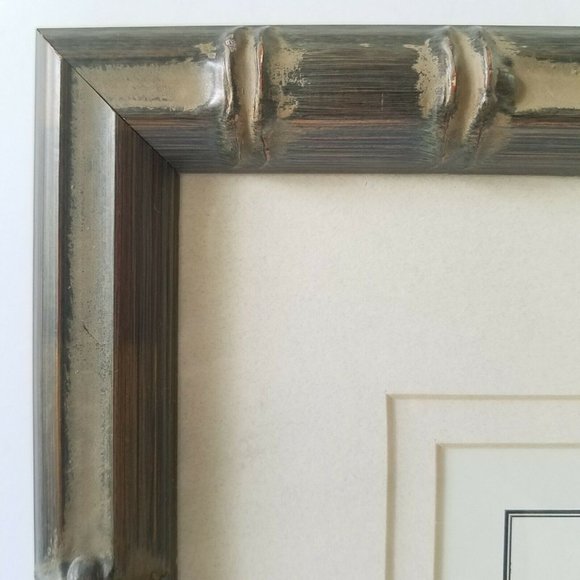 1700s Sand Dollar Echinoderm Print, Natural History Collection by Benard Direxit - Picture 8 of 11